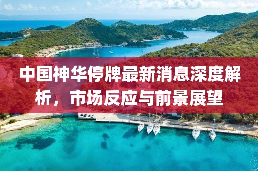 中国神华停牌最新消息深度解析，市场反应与前景展望