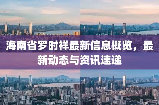 海南省罗时祥最新信息概览，最新动态与资讯速递