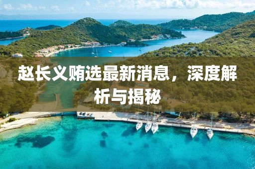 赵长义贿选最新消息，深度解析与揭秘