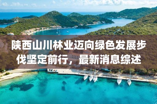 陕西山川林业迈向绿色发展步伐坚定前行，最新消息综述