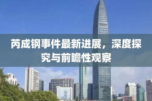芮成钢事件最新进展，深度探究与前瞻性观察