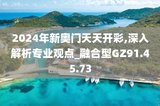 2024年新奥门天天开彩,深入解析专业观点_融合型GZ91.45.73