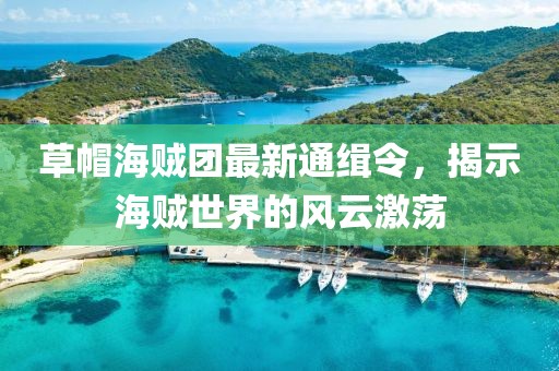 草帽海贼团最新通缉令，揭示海贼世界的风云激荡