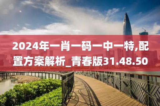 2024年一肖一码一中一特,配置方案解析_青春版31.48.50