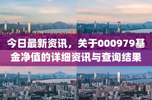 今日最新资讯，关于000979基金净值的详细资讯与查询结果