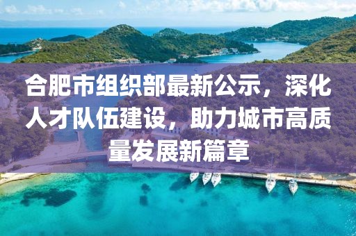 合肥市组织部最新公示，深化人才队伍建设，助力城市高质量发展新篇章