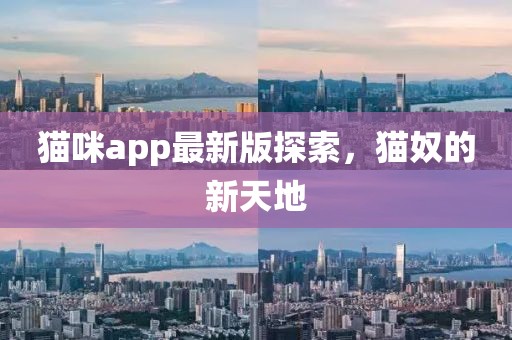猫咪app最新版探索，猫奴的新天地