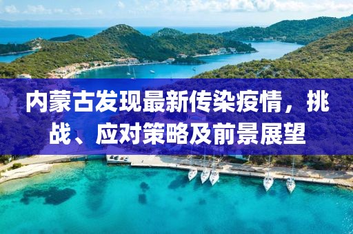 内蒙古发现最新传染疫情，挑战、应对策略及前景展望
