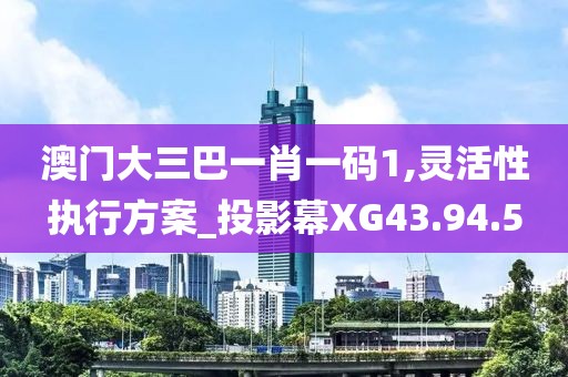 澳门大三巴一肖一码1,灵活性执行方案_投影幕XG43.94.5