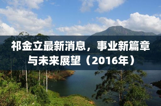 祁金立最新消息，事业新篇章与未来展望（2016年）