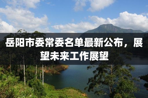 岳阳市委常委名单最新公布，展望未来工作展望