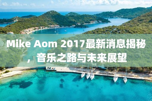 Mike Aom 2017最新消息揭秘，音乐之路与未来展望
