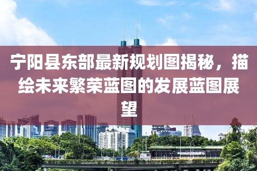 宁阳县东部最新规划图揭秘，描绘未来繁荣蓝图的发展蓝图展望