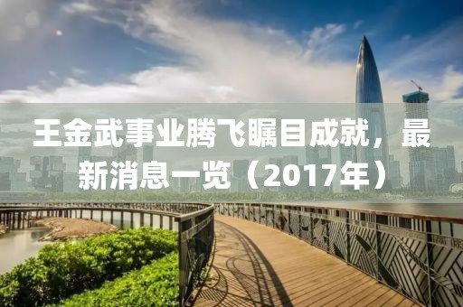 王金武事业腾飞瞩目成就，最新消息一览（2017年）