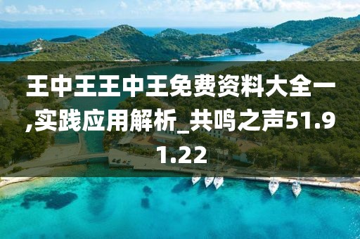 王中王王中王免费资料大全一,实践应用解析_共鸣之声51.91.22