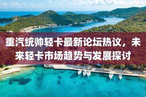 重汽统帅轻卡最新论坛热议，未来轻卡市场趋势与发展探讨