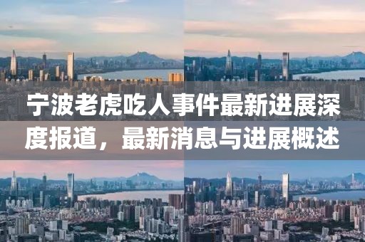 宁波老虎吃人事件最新进展深度报道，最新消息与进展概述