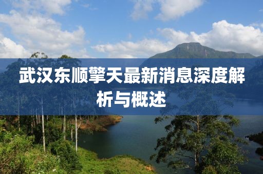 武汉东顺擎天最新消息深度解析与概述