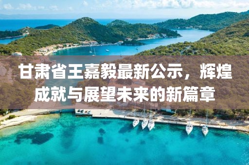 甘肃省王嘉毅最新公示，辉煌成就与展望未来的新篇章