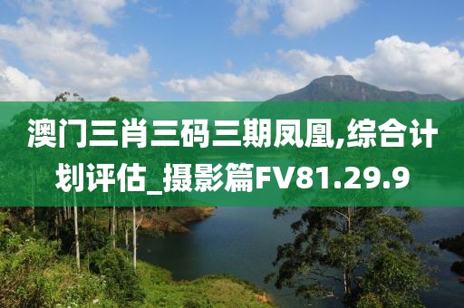 澳门三肖三码三期凤凰,综合计划评估_摄影篇FV81.29.9