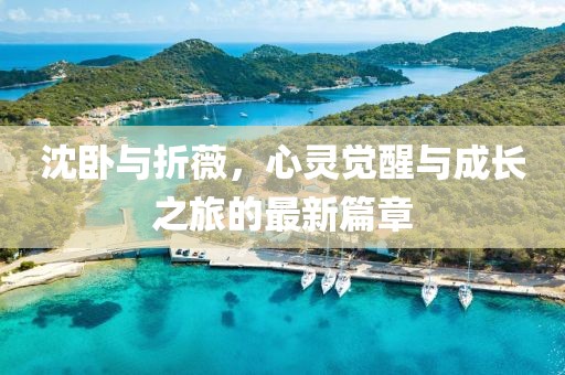 沈卧与折薇，心灵觉醒与成长之旅的最新篇章