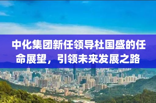 中化集团新任领导杜国盛的任命展望，引领未来发展之路