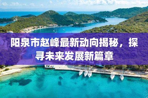 阳泉市赵峰最新动向揭秘，探寻未来发展新篇章