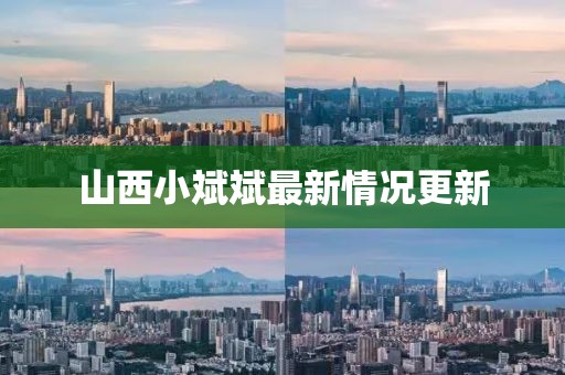 山西小斌斌最新情况更新