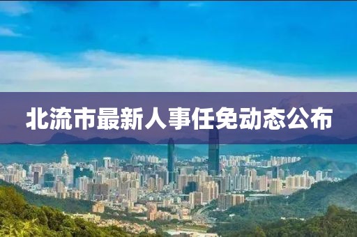 北流市最新人事任免动态公布