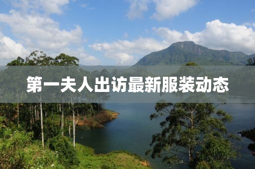 第一夫人出访最新服装动态