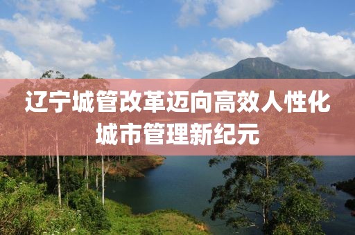 辽宁城管改革迈向高效人性化城市管理新纪元