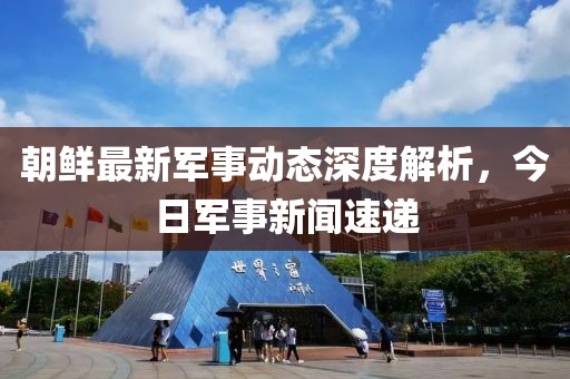 朝鲜最新军事动态深度解析，今日军事新闻速递
