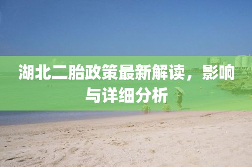 湖北二胎政策最新解读，影响与详细分析