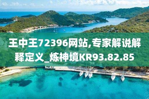 王中王72396网站,专家解说解释定义_炼神境KR93.82.85