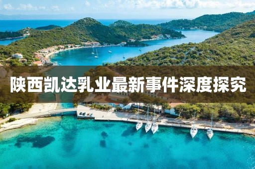 陕西凯达乳业最新事件深度探究