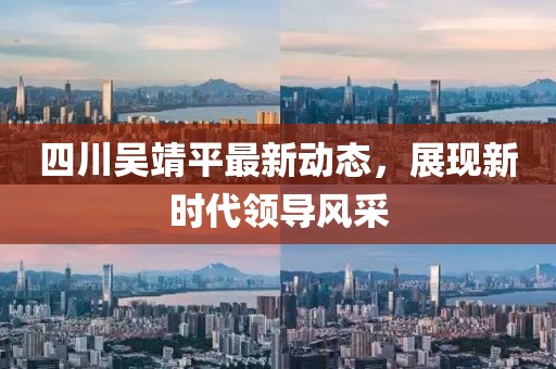四川吴靖平最新动态，展现新时代领导风采