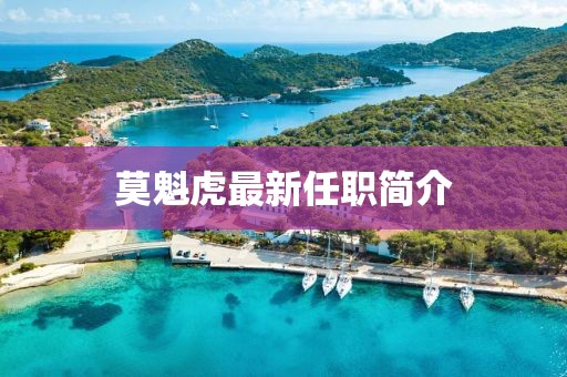 莫魁虎最新任职简介