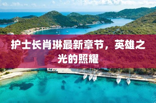 护士长肖琳最新章节，英雄之光的照耀