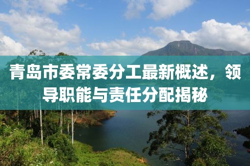 青岛市委常委分工最新概述，领导职能与责任分配揭秘