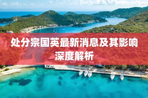 处分宗国英最新消息及其影响深度解析