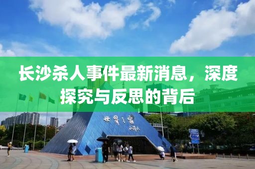 长沙杀人事件最新消息，深度探究与反思的背后
