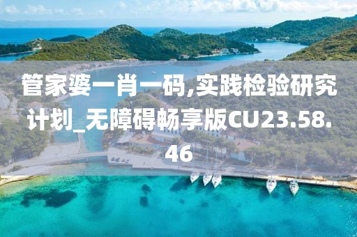 管家婆一肖一码,实践检验研究计划_无障碍畅享版CU23.58.46