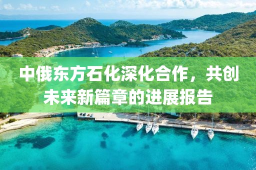 中俄东方石化深化合作，共创未来新篇章的进展报告