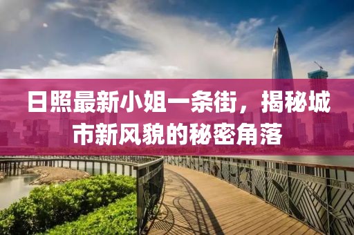 日照最新小姐一条街，揭秘城市新风貌的秘密角落