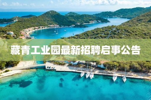 藏青工业园最新招聘启事公告
