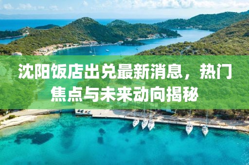 沈阳饭店出兑最新消息，热门焦点与未来动向揭秘