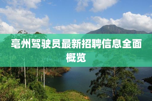 亳州驾驶员最新招聘信息全面概览