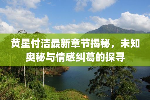 黄星付洁最新章节揭秘，未知奥秘与情感纠葛的探寻