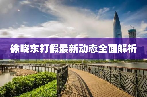 徐晓东打假最新动态全面解析