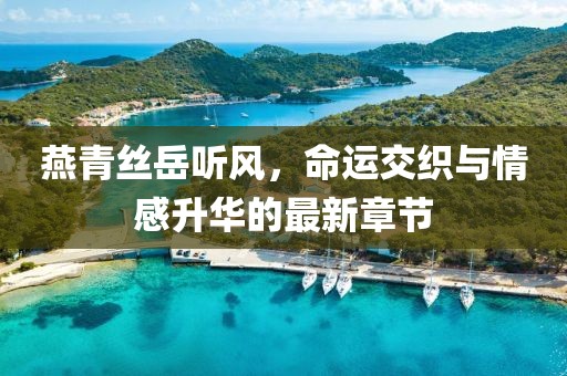 燕青丝岳听风，命运交织与情感升华的最新章节
